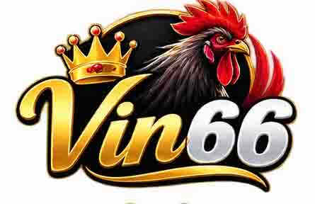 vin66