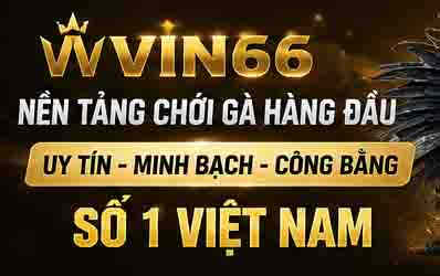 vin66