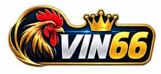 vin66