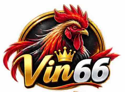 vin66